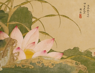 谢荪荷花图高清下载_清代花鸟超高清无水印大图